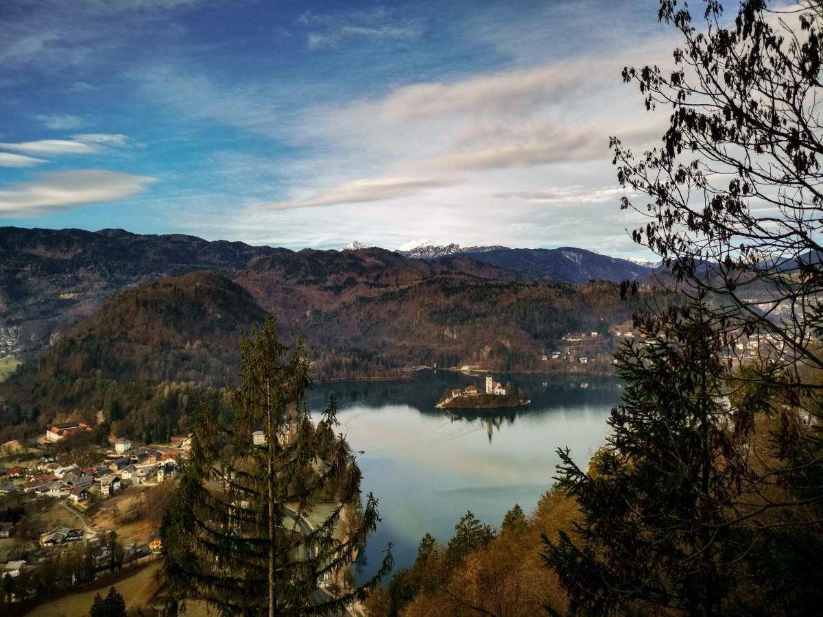 Apartment Alpine Lake Bled Zewnętrze zdjęcie